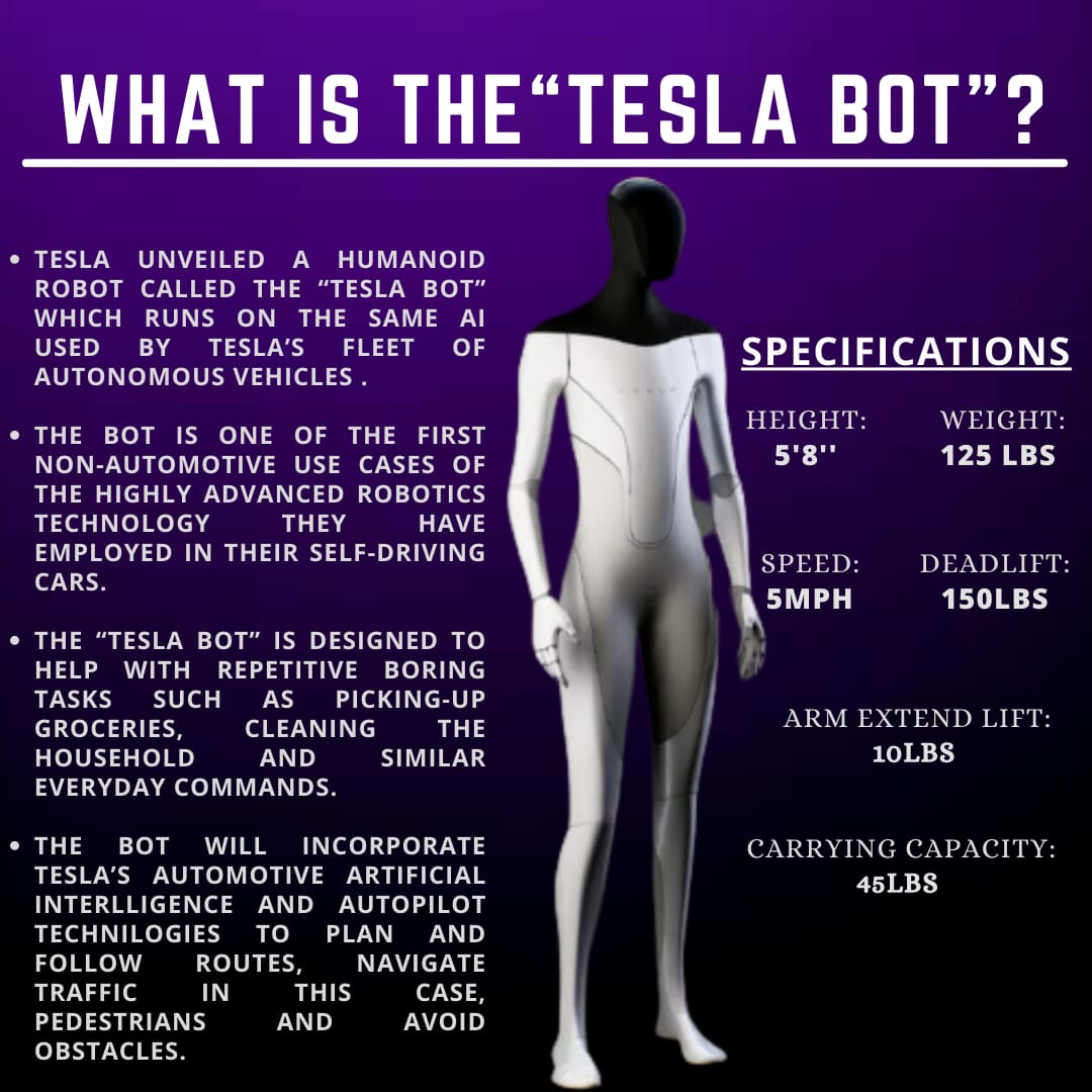 Tesla Bot 2